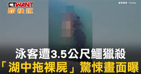 泳客遭35公尺鱷獵殺 「湖中拖裸屍」驚悚畫面曝 影音 Ctwant