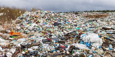 Deterioro Ambiental Concepto Causas Y Consecuencias