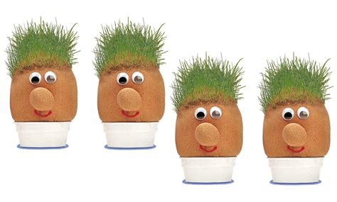 One Two Or Four Mr Grass Head Toys Groupon