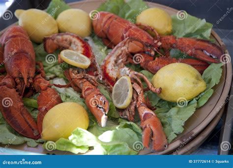 Lobster Stock Photo Image Of Colors Marine Fishing 37772614