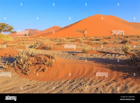 Sossusvlei Namibia 29 September 2018 Tourists On The Famous Dune 45 The Southern Part Of