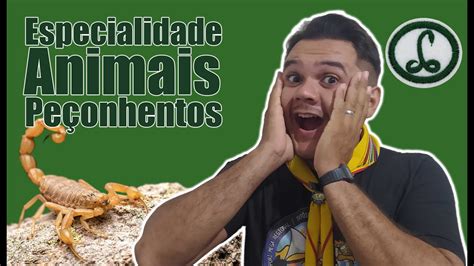 Especialidade De Animais Pe Onhentos Youtube