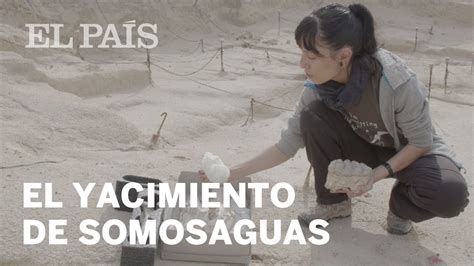 As Es El Yacimiento Paleontol Gico De Somosaguas De Hace Millones