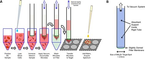 Frontiers An Automated Sample Preparation Instrument To Accelerate