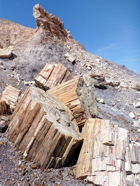 Crumbling Log Historic Blue Forest Trail Petrified Forest National