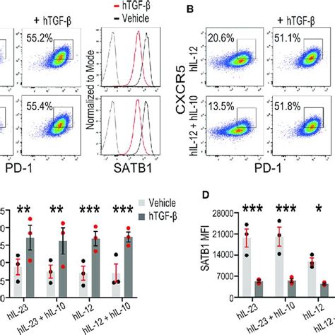 TGF B Mediated Repression Of SATB1 Expression Promotes Tfh Cell