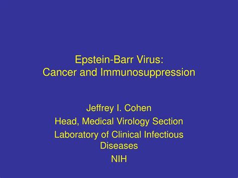 PPT - Epstein-Barr Virus: Cancer and Immunosuppression PowerPoint Presentation - ID:189519