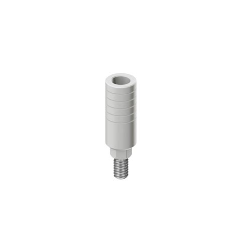 Rs Engaging Plastic Cylinder Abutment Adin Implants