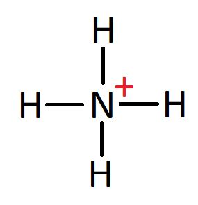 What are the bond angles in NH$_4^+$ ion? | Quizlet