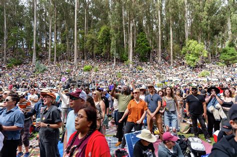 Discover the Magic of Outdoor Music in San Francisco's Stern Grove