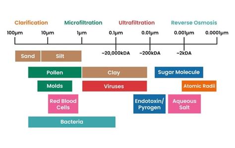 How Filtration Works: An Easy Guide for Biologists