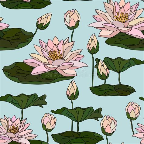 Seamless Pattern With Water Lily Stock Vector Illustration Of Bloom