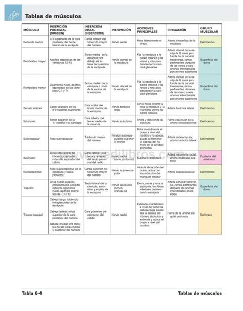 Tabla de músculos de Netter Tablas de músculos INSERCIÓN PROXIMAL