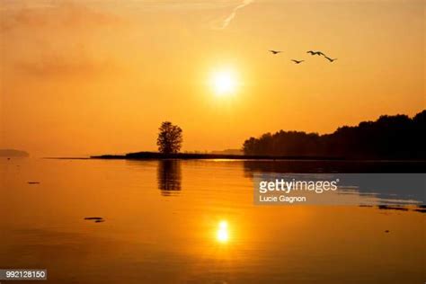 347 Gatineau River Stock Photos, High-Res Pictures, and Images - Getty ...