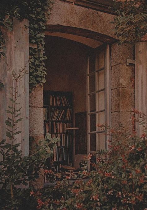 An Open Window With Books On The Shelf And Ivy Growing Around It In