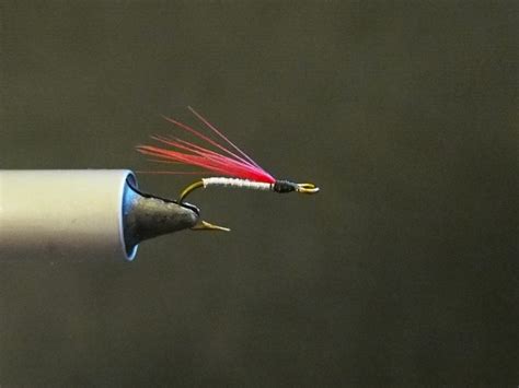 Silver Yank Shad Fly Shad On The Fly