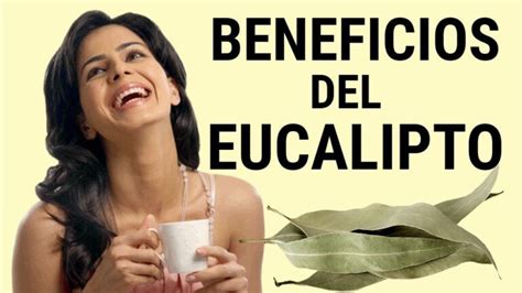 Beneficios De Ba Arse Con Eucalipto Revitaliza Y Purifica Tu Cuerpo