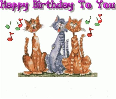 Happy Birthday Sticker - Happy Birthday To - Discover & Share GIFs | Happy birthday cat, Happy ...