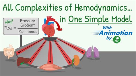 Blood Pressure Blood Flow Resistance And Their Relationship