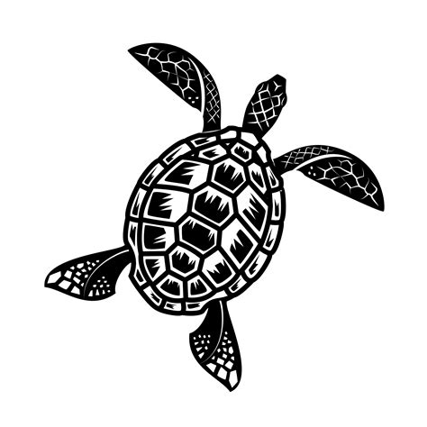 Sea Turtle Clipart Free Stock Photo - Public Domain Pictures
