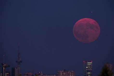 Rara Super Lua Azul Iluminou A Noite Em Todo O Mundo Euronews