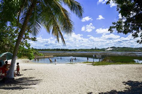 O Que Fazer Em Aracaju Atra Es E Passeios Imperd Veis