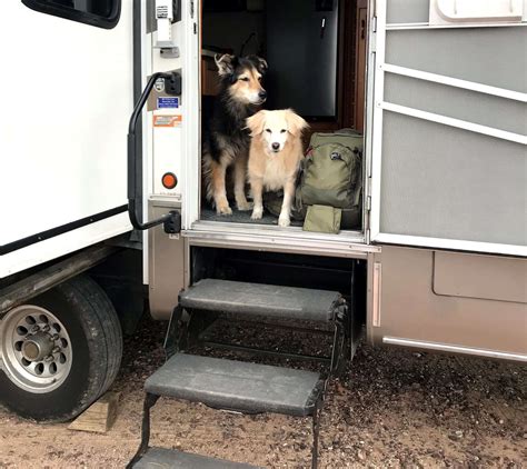 5 Best Rv Dog Ramps For Easy Camper Entry And Exit