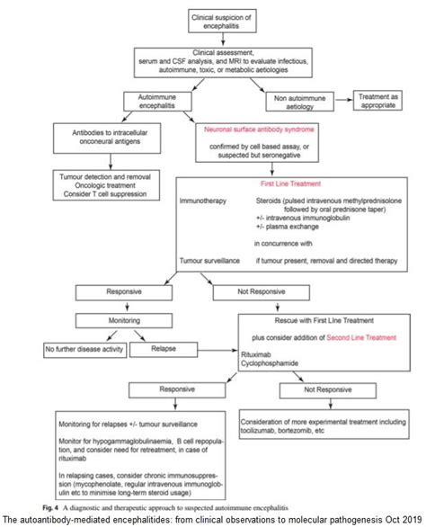 Treatment Of Autommune Encephalitis | Immunotherapy Treatment