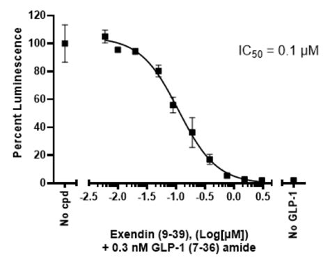 GLP 1R CRE Luc Reporter HEK293 Recombinant Cell Line