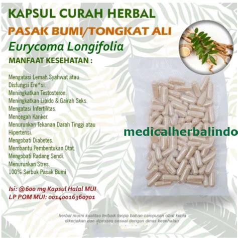 Jual Kapsul Curah Herbal PASAK BUMI Menjaga Stamina Tubuh 100 Capsul