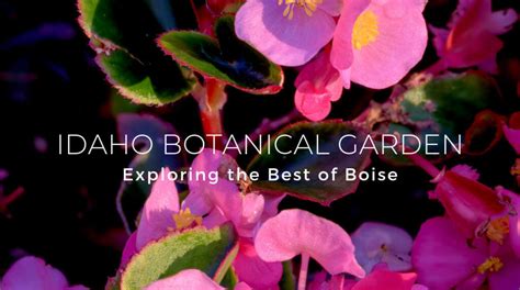 Exploring the Best of Boise: Idaho Botanical Garden