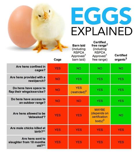 Chicken Egg Colors Chart Shell Yolk Identification