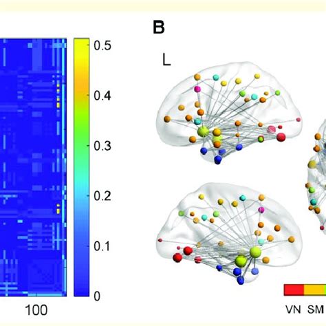 Connection Wise Contributions A The Contribution Weight Of Basic Fcs