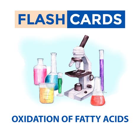 Oxidation Of Fatty Acids – Lipids – Biochemistry – Exams DMAedu