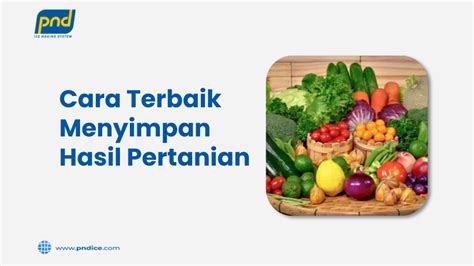 Cara Terbaik Menyimpan Hasil Pertanian - PND Ice