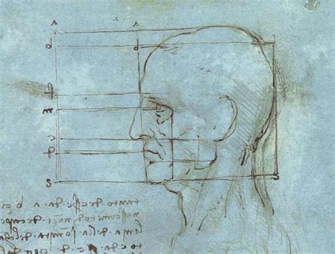 Human Head Proportions - Anatomy course for artists