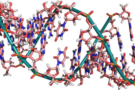 RNA Medicine » The Herbert Wertheim UF Scripps Institute for Biomedical ...