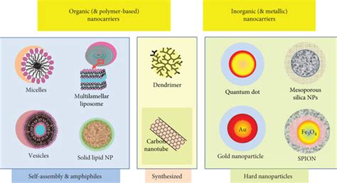 Smart Nanoparticles For Drug Delivery Application Development Of