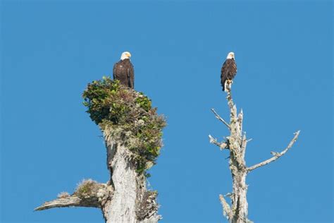 Pacific Rim Tour Ucluelet And Tofino