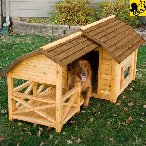 Unique and Fancy Pet House Design You'll Love It - Live Enhanced