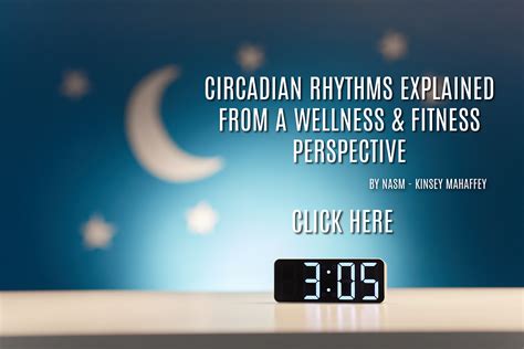 Circadian Rhythms Explained From A Wellness Fitness Perspective