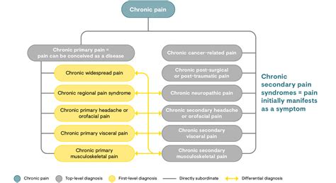 Classification Of Pain Grünenthal