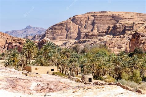 Premium Photo | Oasis in the desert, south sinai, white canyon in the desert, egypt