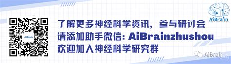 Bjp丨复旦大学脑科学研究院张玉秋团队揭示海马小胶质细胞非对称性激活参与慢性痛和抑郁的共病 脑医汇 神外资讯 神介资讯