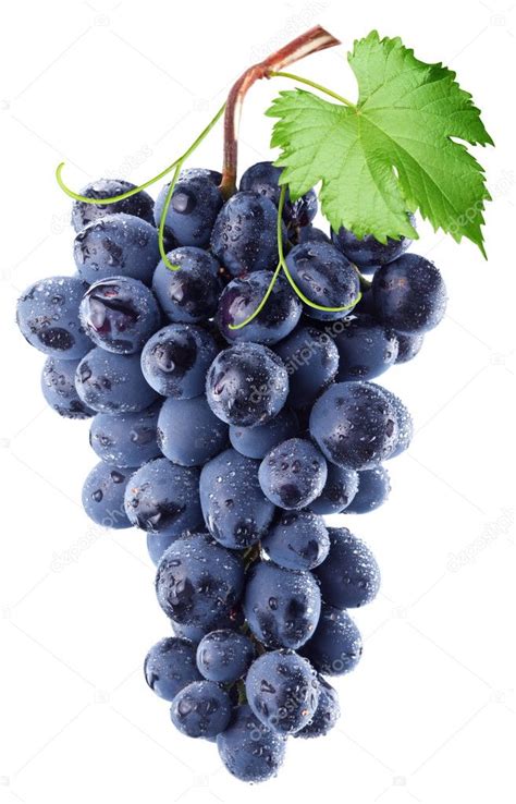 Grapes Stock Photo By ©valentynvolkov 8163712