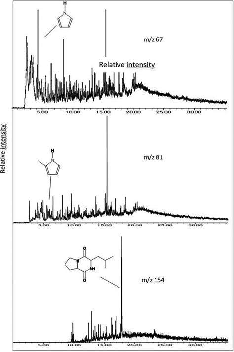 Py Gc Ms Chromatogram At Mz 67 81 And 154 Of Specimen Hgk1249 Download Scientific Diagram