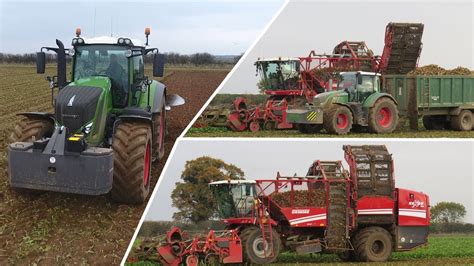 Sugar Beet Harvesting And Ploughing Youtube