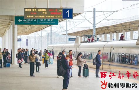 梧州南至香港西九龙动车恢复开行 梧州零距离网