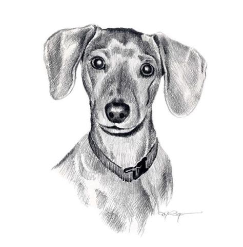 Wiener Dog Sketch at PaintingValley.com | Explore collection of Wiener ...