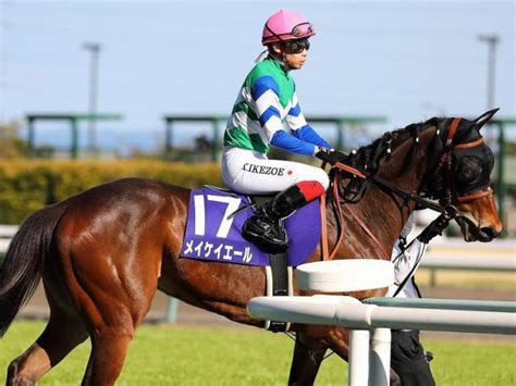 【京王杯sc】登録馬 ラウダシオン、メイケイエールなど12頭 競馬ニュース Netkeiba